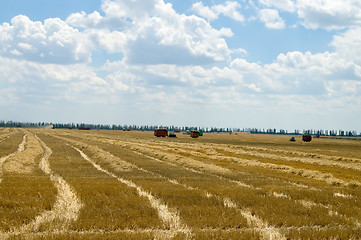 Image showing rows windrows