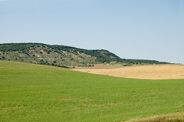 Image showing mountains and field