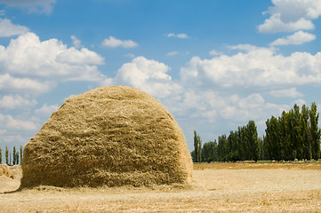 Image showing stack of straw