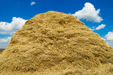 Image showing stack of straw