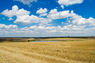 Image showing rural view