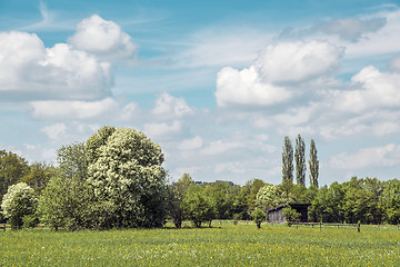 Image showing Meadows with blue sky