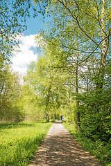 Image showing Relaxing in light green nature