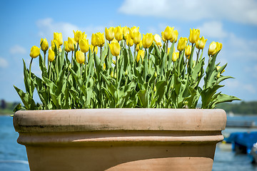 Image showing clay pot with flowers in Chiemgau