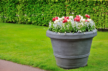 Image showing basket of spring flowers in garden