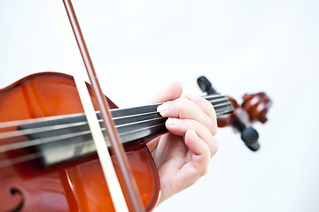 Image showing Violin