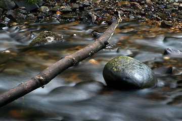 Image showing Stream, Branch, and Rock