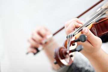 Image showing Violin