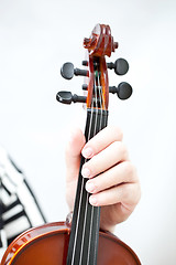 Image showing Violin