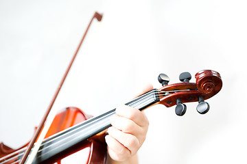 Image showing Violin