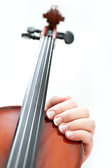 Image showing Violin