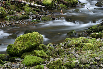 Image showing Stream and Mossy Rocks