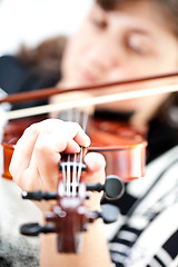 Image showing Violin