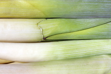 Image showing Leek