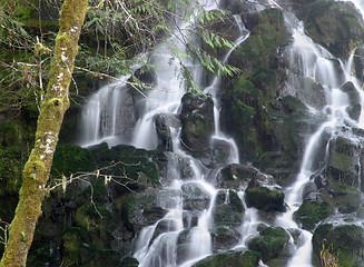 Image showing Fishhawk Falls