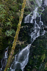 Image showing Fishhawk Falls