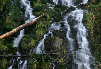 Image showing Fishhawk Falls