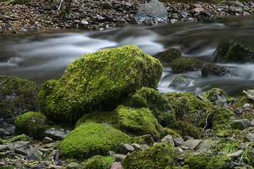 Image showing Stream and Rock with Green Moss
