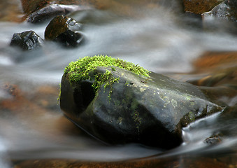 Image showing Stream and Rocks