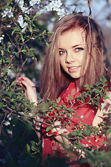 Image showing Girl in the flowers of cherry