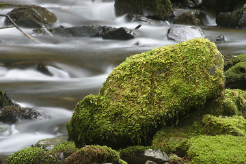 Image showing Stream and Mossy Rock