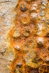 Image showing Abstract Rust Background