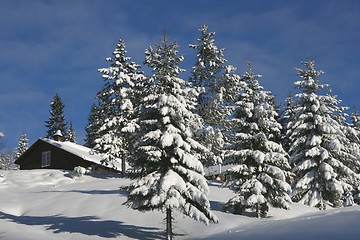 Image showing Cottage in winter