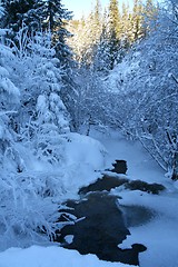 Image showing Winter creek