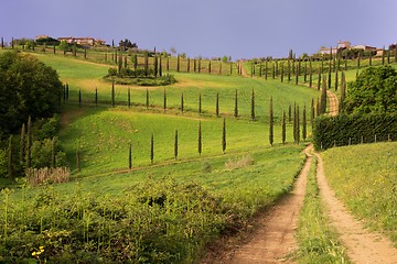 Image showing Tuscan landscape