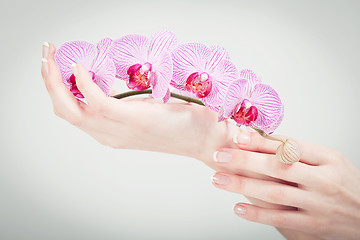 Image showing manicure making in beauty spa salon 