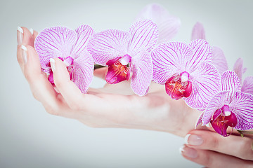 Image showing manicure making in beauty spa salon 