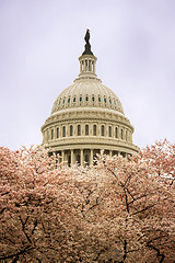 Image showing The Capitol in Spring