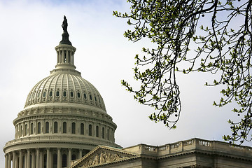 Image showing The Capitol in Spring