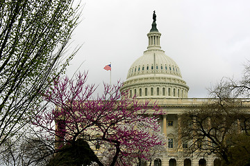 Image showing The Capitol in Spring