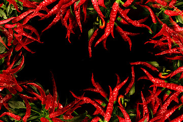 Image showing red hot chili on the black background 