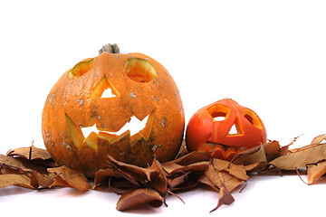 Image showing halloween pumpkins