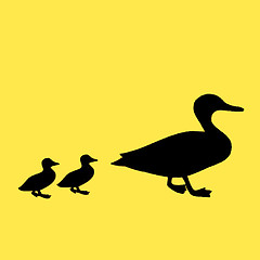 Image showing Mother and two baby ducks