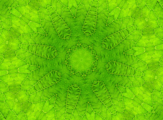 Image showing Green leaf abstract pattern