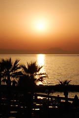 Image showing Sunset and palms