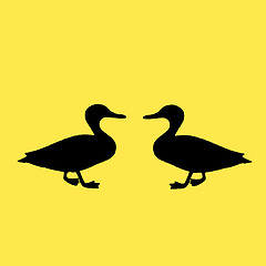Image showing Two Ducks on a yellow background