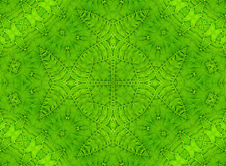 Image showing Green leaf abstract pattern