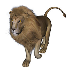 Image showing Lion