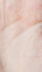 Image showing human skin