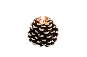 Image showing decorative cone shape candle burn flame isolated 