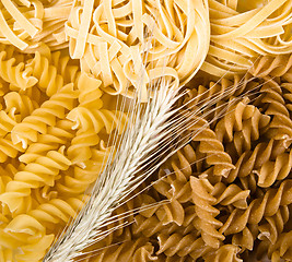 Image showing set of different pasta, close-up 