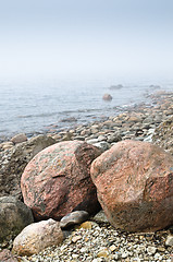 Image showing Coast of Baltic sea in a fog