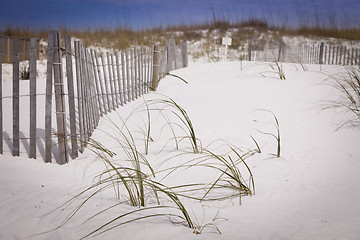 Image showing Sand Dunes and Fence at the Beach