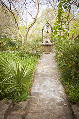 Image showing Beautiful Lush Park Walkway and Antique Well