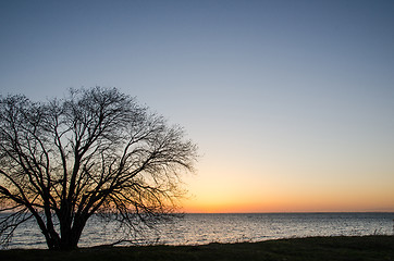 Image showing Evening light