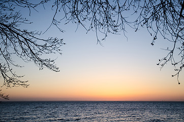 Image showing Frame of twigs in evening light